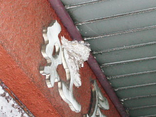 �t���[��