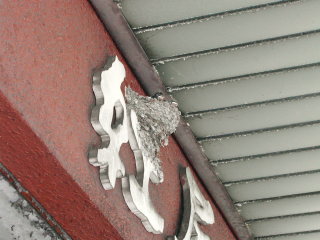 �t���[��