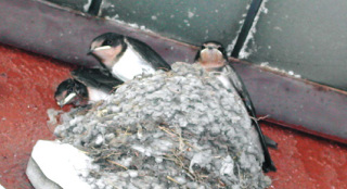 �t���[��